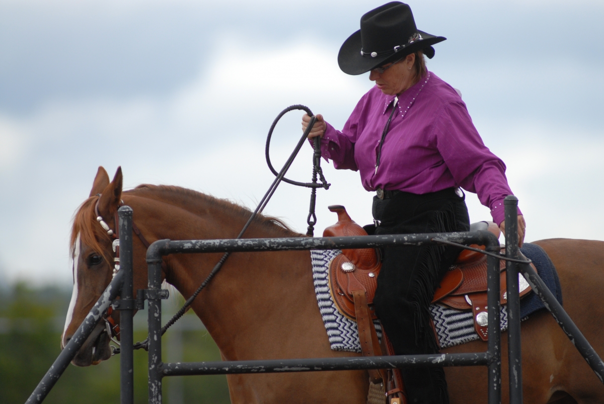 use rhythm to desensitize your horse