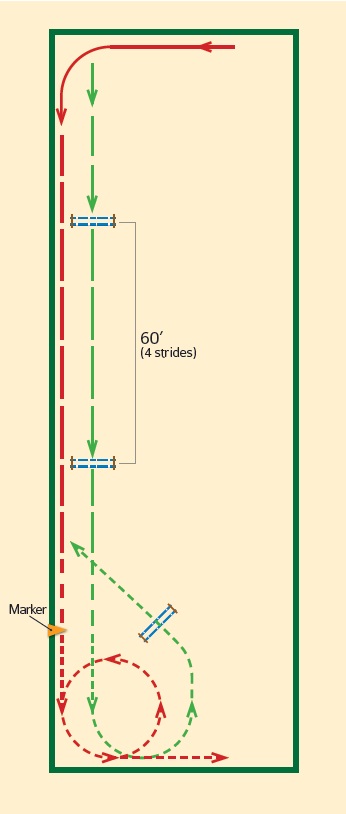 horse jumping exercise roundabout