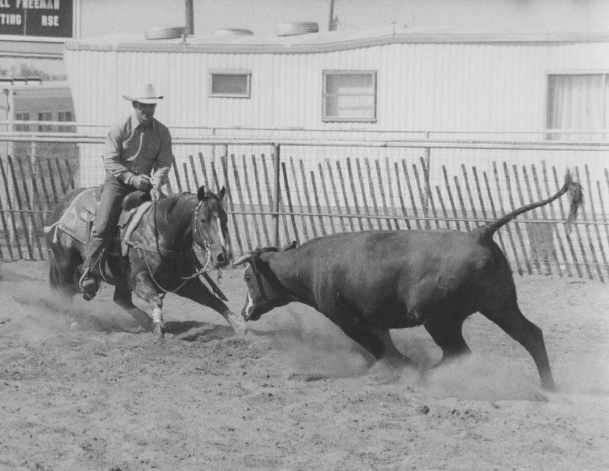 Smart Little Lena cutting horse sire