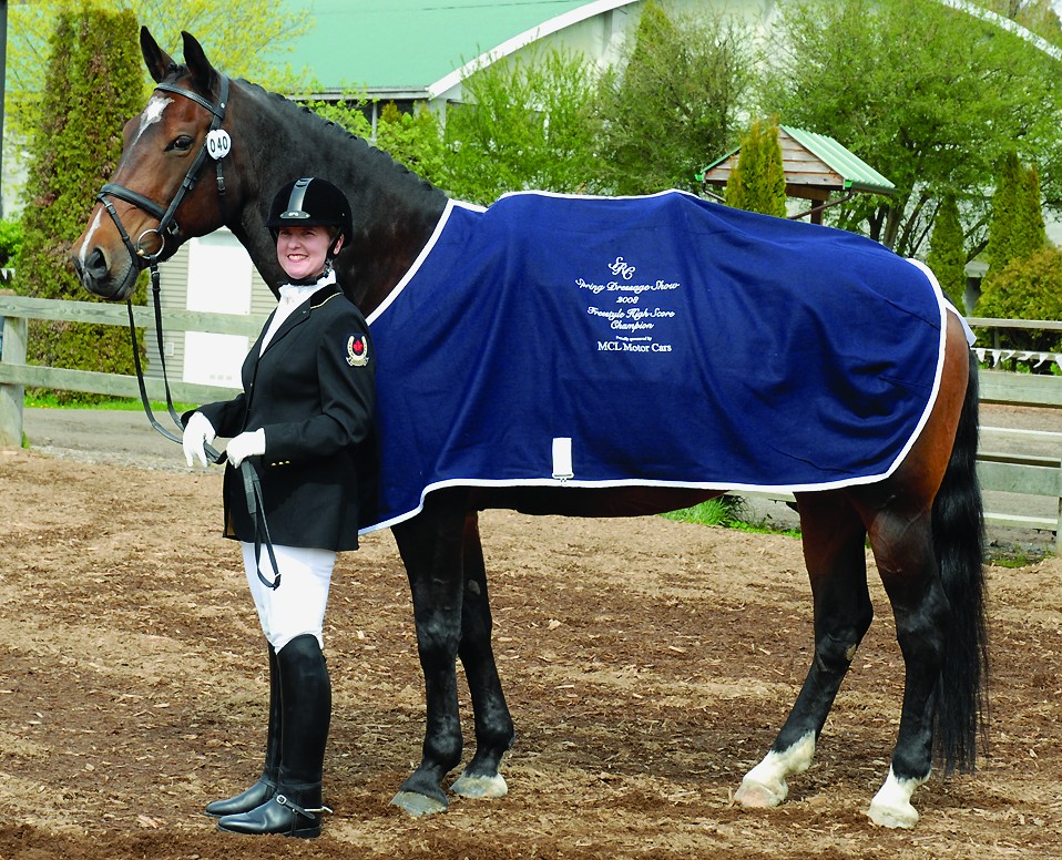 Canadian Warmblood Horse Breed, canadian warmblood equine, canadian warmblood horse, Equus Caballus Mosbachensi, canadian warmblood stallion approval, canadian warmblood stallion inspections