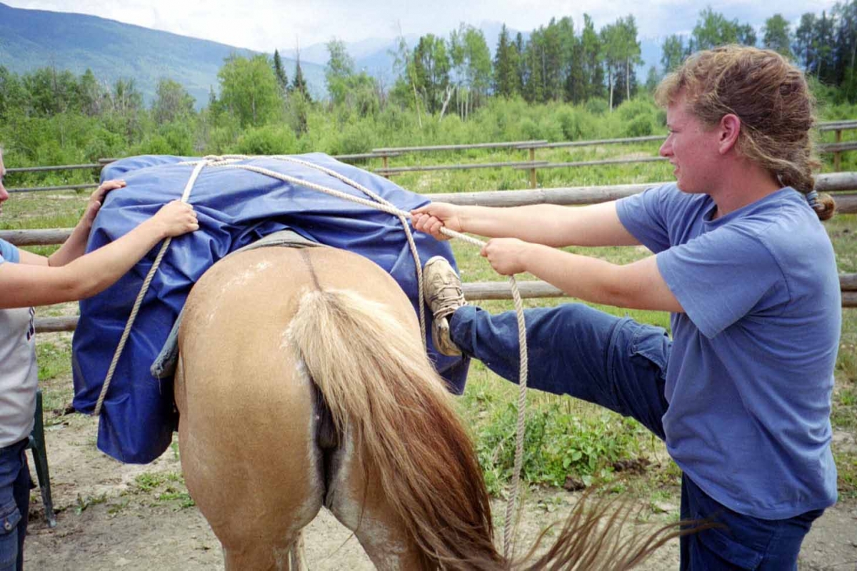 Hitching a Pack Horse, trail riding tips, types of horse htitches, single diamond horse hitch