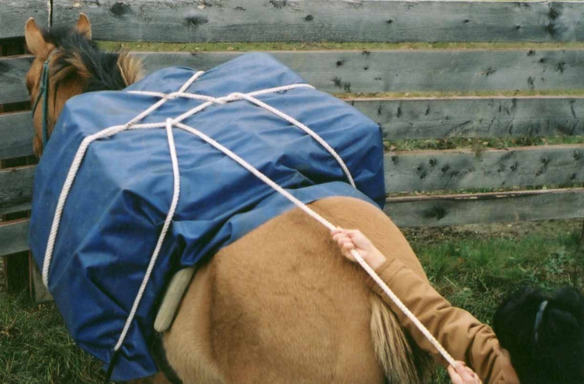 Hitching a Pack Horse, trail riding tips, types of horse htitches, single diamond horse hitch