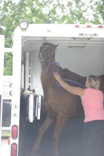  training jonathan field, natural horsemanship, trailer loading, load a horse trailer
