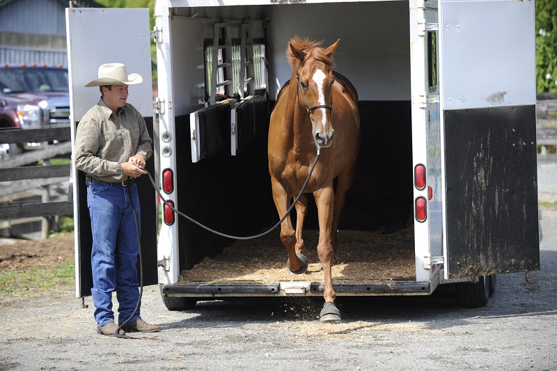  training jonathan field, natural horsemanship, trailer loading, load a horse trailer
