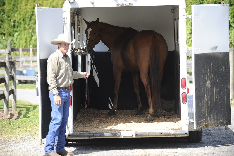 training jonathan field, natural horsemanship, trailer loading, load a horse trailer