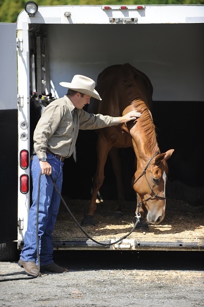  training jonathan field, natural horsemanship, trailer loading, load a horse trailer