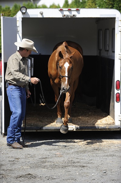  training jonathan field, natural horsemanship, trailer loading, load a horse trailer