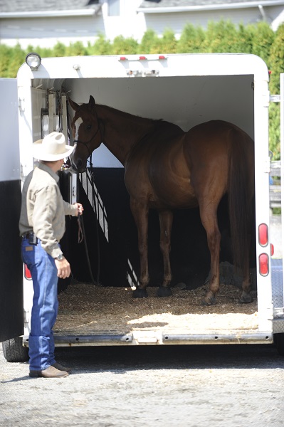  training jonathan field, natural horsemanship, trailer loading, load a horse trailer