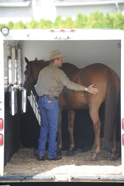  training jonathan field, natural horsemanship, trailer loading, load a horse trailer