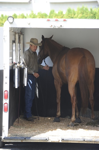 training jonathan field, natural horsemanship, trailer loading, load a horse trailer