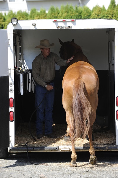 training jonathan field, natural horsemanship, trailer loading, load a horse trailer