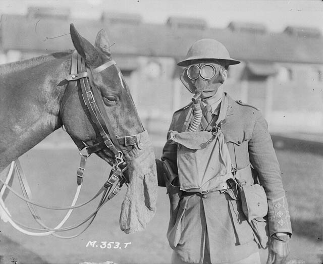 Horses in war, war horse, horses world war 1, horses world war 2, dumb heroes, Riding into War, The Horse in War, my horse warrier, the war illustrated
