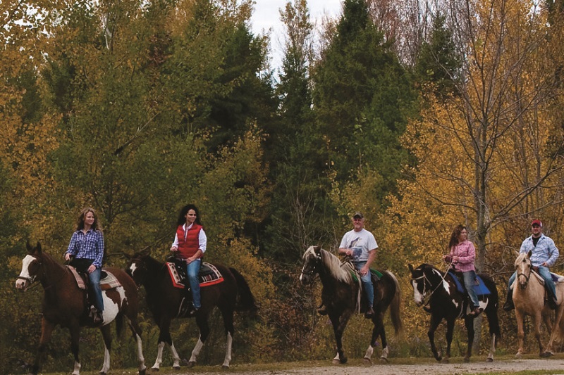 horse laminitis, horse campground ontario, horse campground canada, saugeen bluffs campground, horse vacation ontario, horseback riding canada