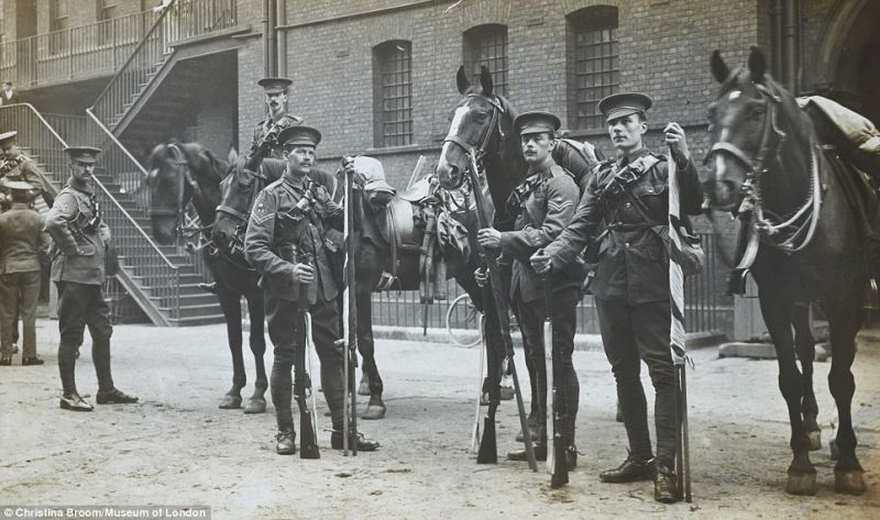 Brooke USA equine welfare horse welfare World War One Horses