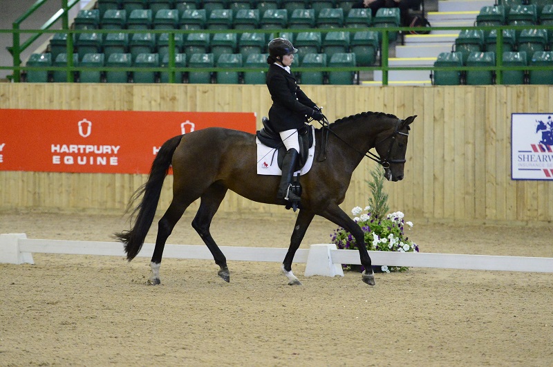 Equestrian Canada Para-Dressage Team Rio 2016 Paralympic Games Canadian Paralympic Committee Lauren Barwick Robyn Andrews Ashley Gowanlock Roberta Sheffield