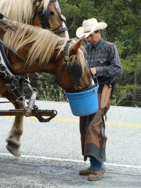 Pierre Cloutier, horse ride across canada, Traversée du Canada chevalz