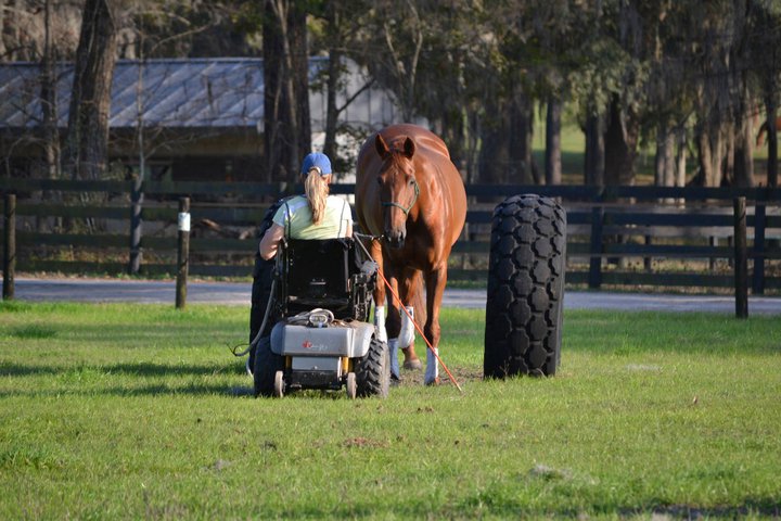 Paralympian Lauren Barwick, disabled horse rider, canadian paralympic rider, fei para-equestrian, para-dressage lauren barwick