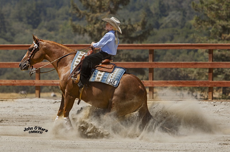 Reining By The Bay Pat Warren Rancho Oso RioHorse Park at Woodside California Amanda Brumley Brumley Management Group California Reining Tracer Gilson Da Big Kahuna Wimpys Little Step Princessontheprowl High Brow Cat Reining By The Bay Pat Warren Rancho Oso RioHorse Park at Woodside California Amanda Brumley Brumley Management Group California Reining Tracer Gilson Da Big Kahuna Wimpys Little Step Princessontheprowl High Brow Cat