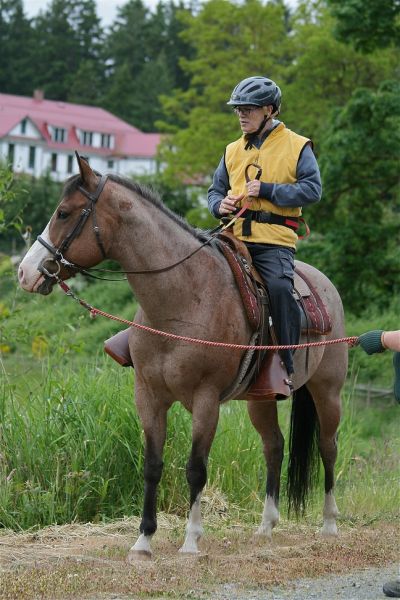 Cowichan Therapeutic Riding Association, CTRA, CTRA 30 years, disabled riding bc, riding for the disabled, therapeutic riding, horse therapy, horses for disabled