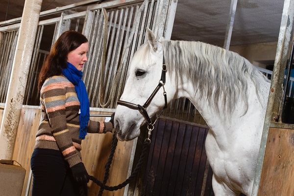 types of horse insurance, types of equine insurance, horse insurance, equine insurance, intercity insurance, capri insurance, equine liability, hayley kosolofski, horse breeding insurance, horse medical, horse surgery, equine surgery, stallion infertility, equine transport insurance 
