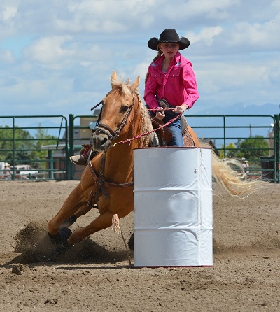 equine navicular, horse navicular, navicular syndrome horse, horse hooves, navicular disease horses, horse lameness equine navicular, horse navicular, navicular syndrome horse, horse hooves, navicular disease horses, horse lameness