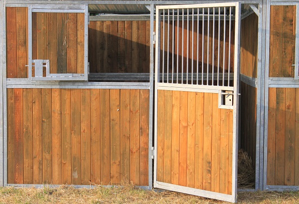 types of horse insurance, types of equine insurance, horse insurance, equine insurance, intercity insurance, capri insurance, equine liability, hayley kosolofski, horse breeding insurance, horse medical, horse surgery, equine surgery, stallion infertility, equine transport insurance 
