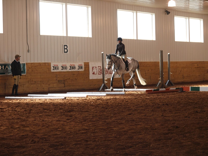 jec aristotle ballou, cavalletti exercises, horse cavalletti, training a horse, horse gait, equine gait, equine conditioning a horsecavaletti walk, cavaletti canter, cavaletti trot, jec aristotle ballou, cavalletti exercises, horse cavalletti, training a horse, horse gait, equine gait, equine conditioning a horse