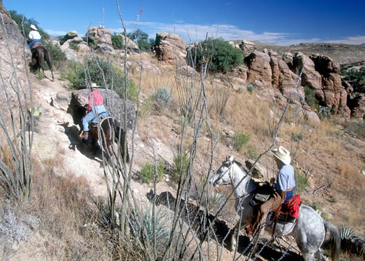Circle Z Ranch, winter horse holidays, horse rider retreat,