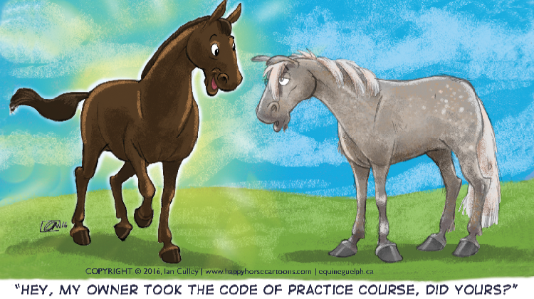 equine guelph equine welfare canada's code equine guelph equine biosecurity the horse portal equine guelph