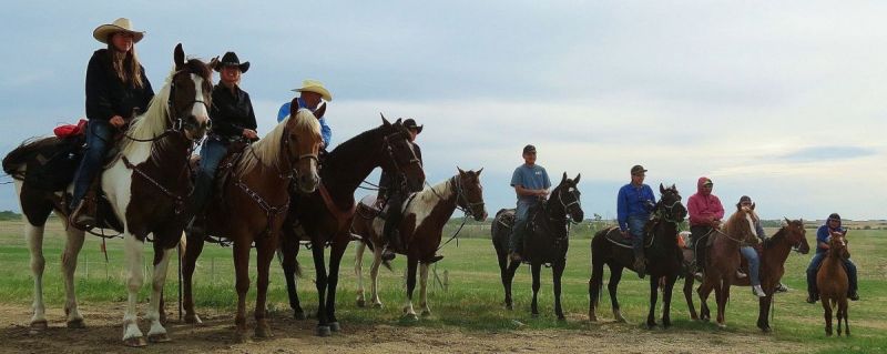 horse Ride Across Canada canadian Forces veterans ride paul nichols terry nichols pen y bryn farm equine facility veterans horse community fundraiser remembrance day horse horse Ride Across Canada canadian Forces veterans ride paul nichols terry nichols pen y bryn farm equine facility veterans horse community fundraiser remembrance day horse