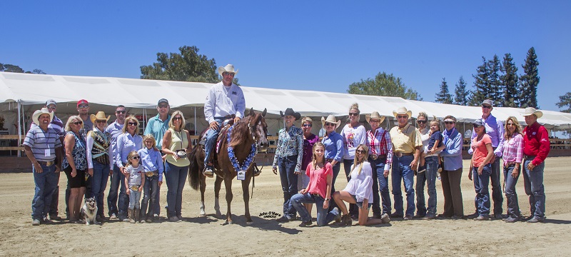 Reining By The Bay Pat Warren Rancho Oso RioHorse Park at Woodside California Amanda Brumley Brumley Management Group California Reining Tracer Gilson Da Big Kahuna Wimpys Little Step Princessontheprowl High Brow Cat Reining By The Bay Pat Warren Rancho Oso RioHorse Park at Woodside California Amanda Brumley Brumley Management Group California Reining Tracer Gilson Da Big Kahuna Wimpys Little Step Princessontheprowl High Brow Cat