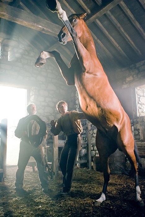 horses in the war, remembering war horses, steven spielberg horse, horses in history, world war horse
