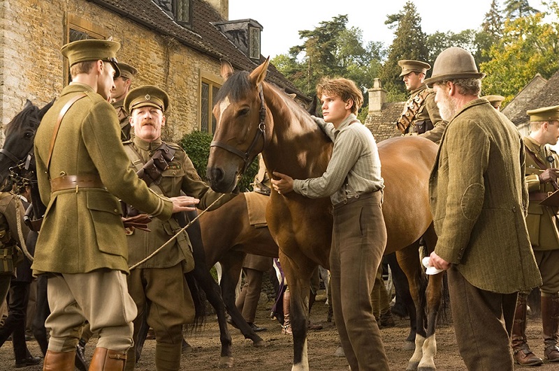 horses in the war, remembering war horses, steven spielberg horse, horses in history, world war horse