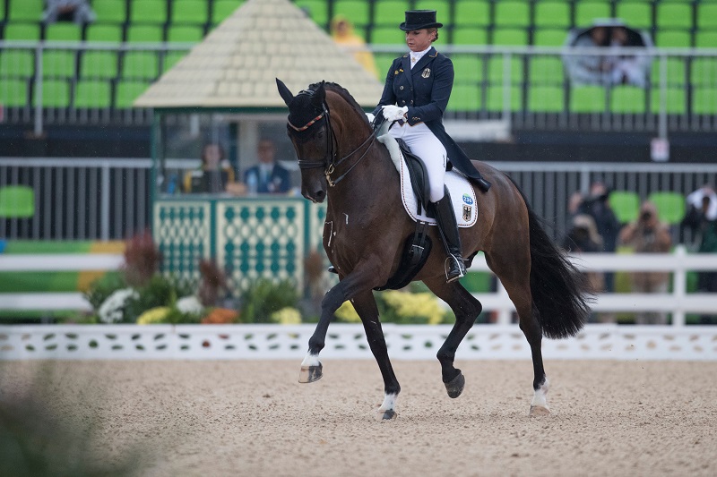 Germany Olympic Dressage Gold Olympic Equestrian Park Olympic Dressage Olympic Grand Prix Edward Gal Diederik van Silfhout Hans Peter Minderhoud Dorothee Schneider Steffen Peters Fiona Bigwood Laura Graves, USA