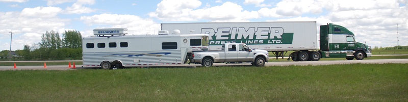 training jonathan field, natural horsemanship, trailer loading, load a horse trailer