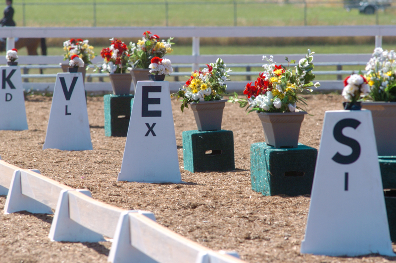 Lindsay Grice, prepare for horse show, prepare for equine show, showing a horse, how to show a horse, prepare for a dressage test, prepare for a horse jumper class, prepare for a Western horse class