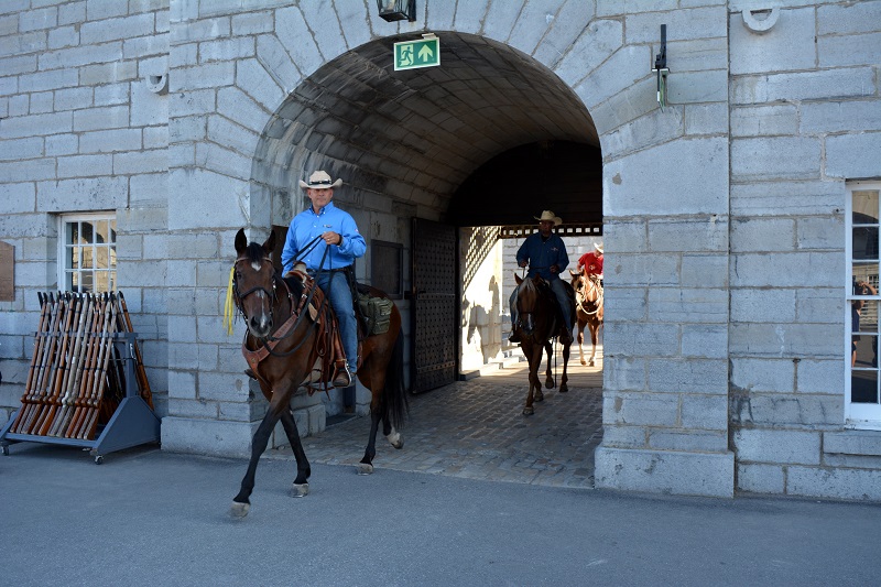 horse Ride Across Canada canadian Forces veterans ride paul nichols terry nichols pen y bryn farm equine facility veterans horse community fundraiser remembrance day horse horse Ride Across Canada canadian Forces veterans ride paul nichols terry nichols pen y bryn farm equine facility veterans horse community fundraiser remembrance day horse