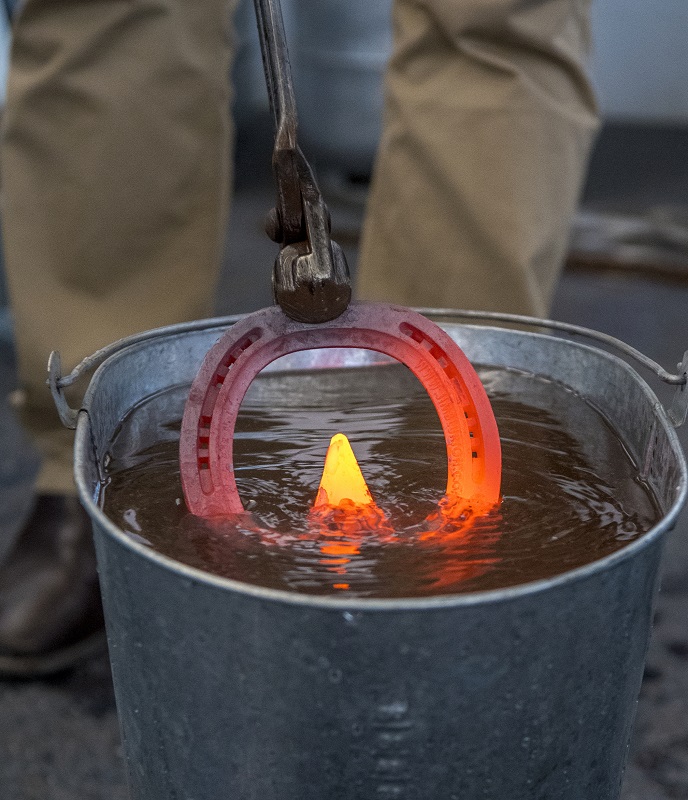 rio farrier, equine olympics 2016 rio equestrian olympic equestrian centre, farrier Paralympics
