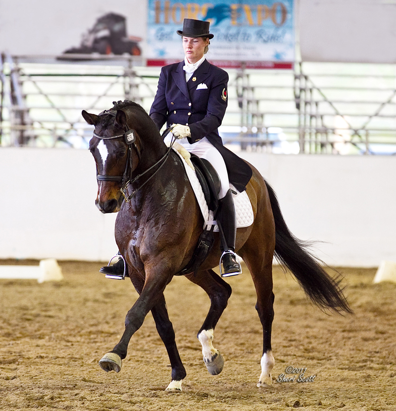 Karen Pavicic, Impulsion in horses, Cavaletti, horse training, riding horse forward, dressage, power dressage, fei trainer, engage hind in horses