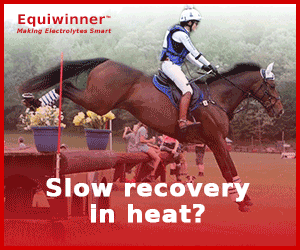 Slow recovery in heat? Use Equiwinner patches.