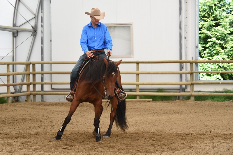 jonathan field, natural horsemanship, boxing horses, equine footwork, horse shoulders, horse footwork, natural horsemanship footwork jonathan field, natural horsemanship, boxing horses, equine footwork, horse shoulders, horse footwork, natural horsemanship footwork