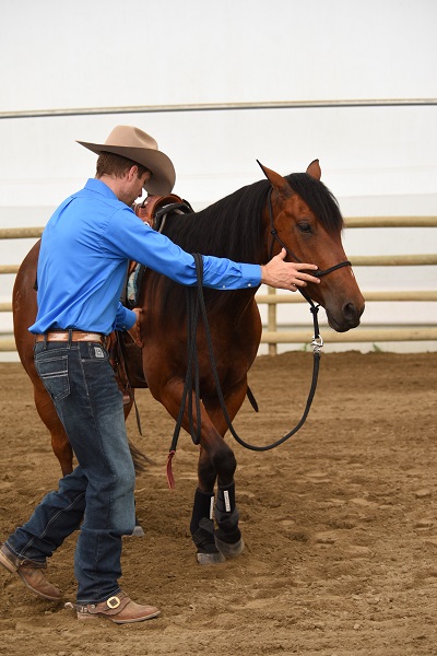 jonathan field, natural horsemanship, boxing horses, equine footwork, horse shoulders, horse footwork, natural horsemanship footwork jonathan field, natural horsemanship, boxing horses, equine footwork, horse shoulders, horse footwork, natural horsemanship footwork