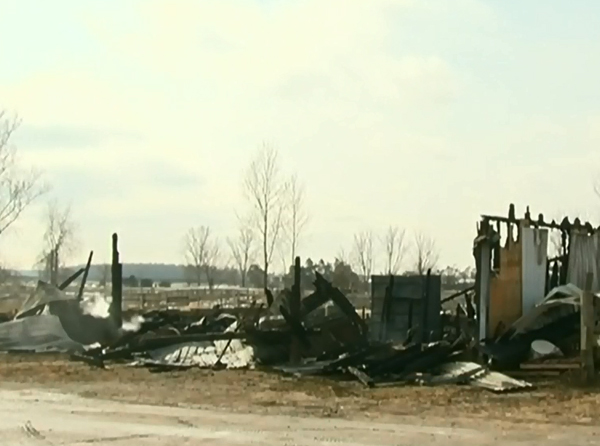ontario barn fire, darkin riding stables, otterville barn fire, classy lane stables, arabian horse fire, loranda stables kitty cottage