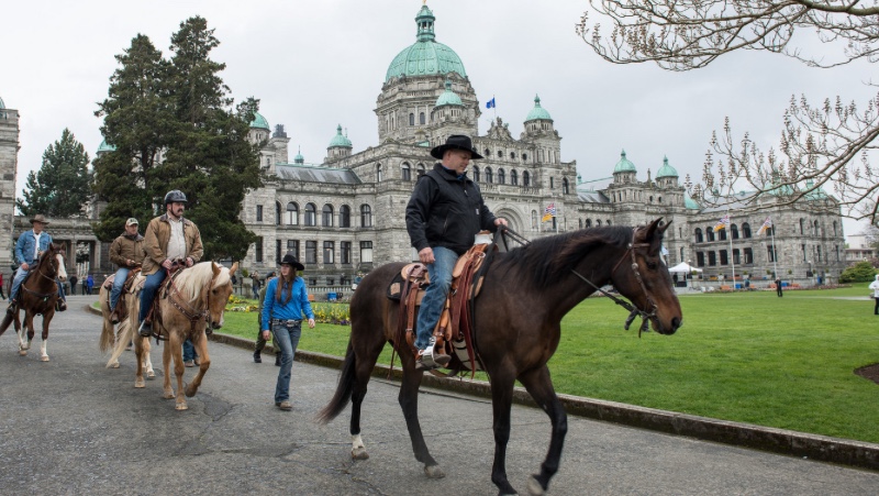 horse Ride Across Canada canadian Forces veterans ride paul nichols terry nichols pen y bryn farm equine facility veterans horse community fundraiser remembrance day horse horse Ride Across Canada canadian Forces veterans ride paul nichols terry nichols pen y bryn farm equine facility veterans horse community fundraiser remembrance day horse