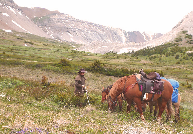 Tania Millen, Blue Creek Outfitting, McBride, BC, pack trips, holidays on horseback, equine holiday, trail riding, pack horse