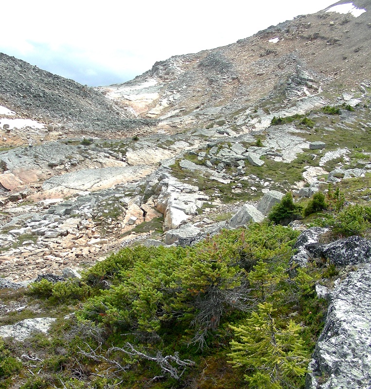 Tania Millen, Blue Creek Outfitting, McBride, BC, pack trips, holidays on horseback, equine holiday, trail riding, pack horse