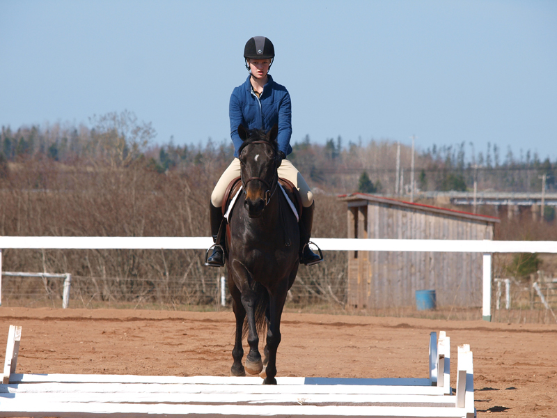 Lindsay Grice, how to enjoy fall winter with Your Horse, meeting your equine goals, explore alternate activities with your horse, horse training, bonding with your horse, winter horse riding, autumn horse riding