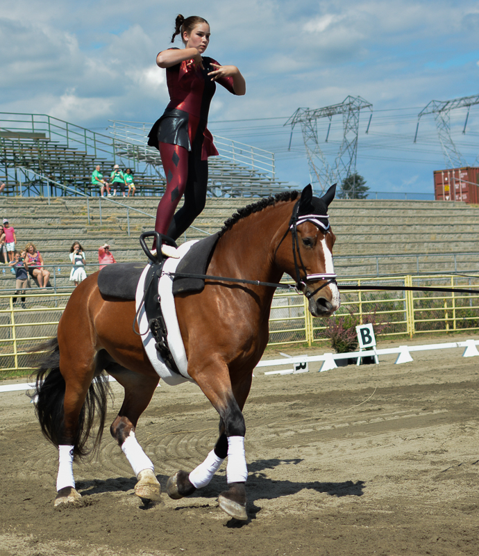 2016 BC Summer Games Equestrian Sport BC Summer Games Horse Council BC 2016 BC Summer Games Equestrian Sport BC Summer Games Horse Council BC