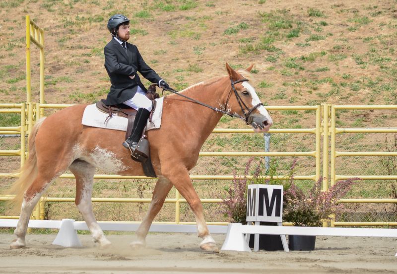 2016 BC Summer Games Equestrian Sport BC Summer Games Horse Council BC 2016 BC Summer Games Equestrian Sport BC Summer Games Horse Council BC