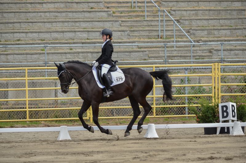 2016 BC Summer Games Equestrian Sport BC Summer Games Horse Council BC 2016 BC Summer Games Equestrian Sport BC Summer Games Horse Council BC
